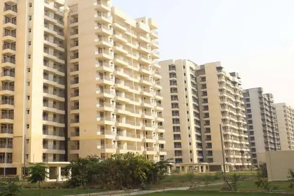 The AOA starts the registration of auditors.